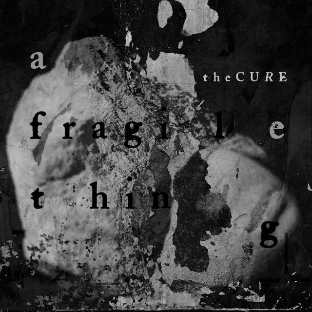 Album cover art for A Fragile Thing