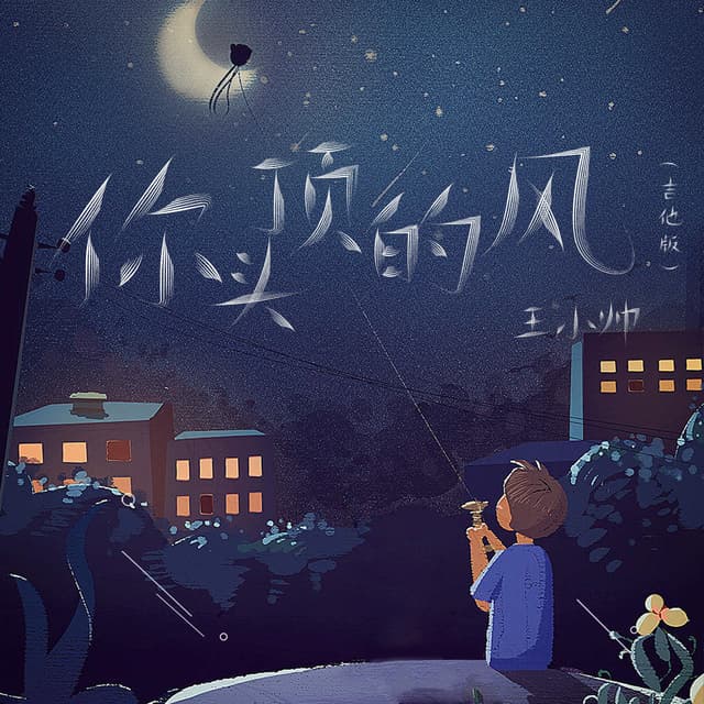 Album cover art for 你头顶的风