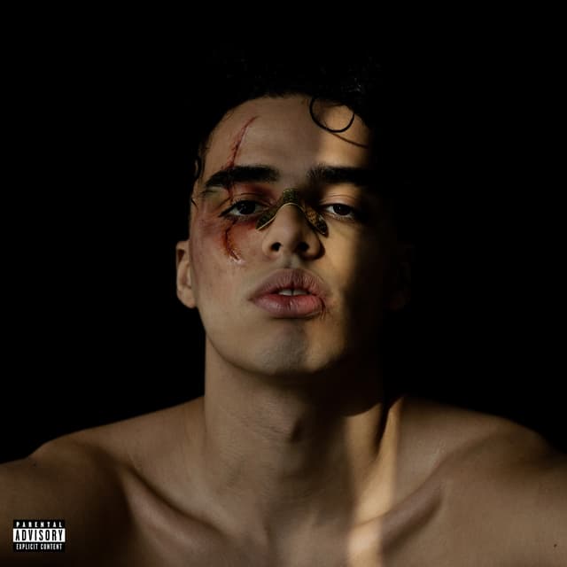 Album cover art for Intifada