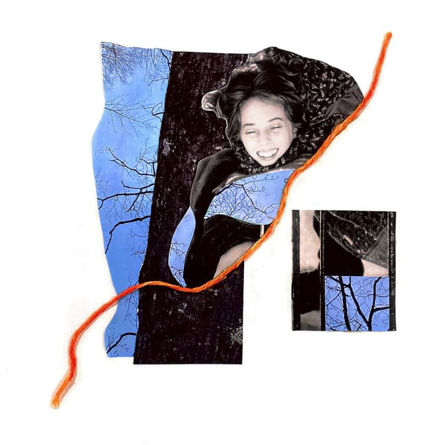 Album cover art for Blue Hippo