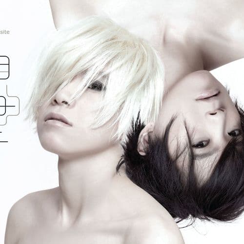 Album cover art for The Opposite Me