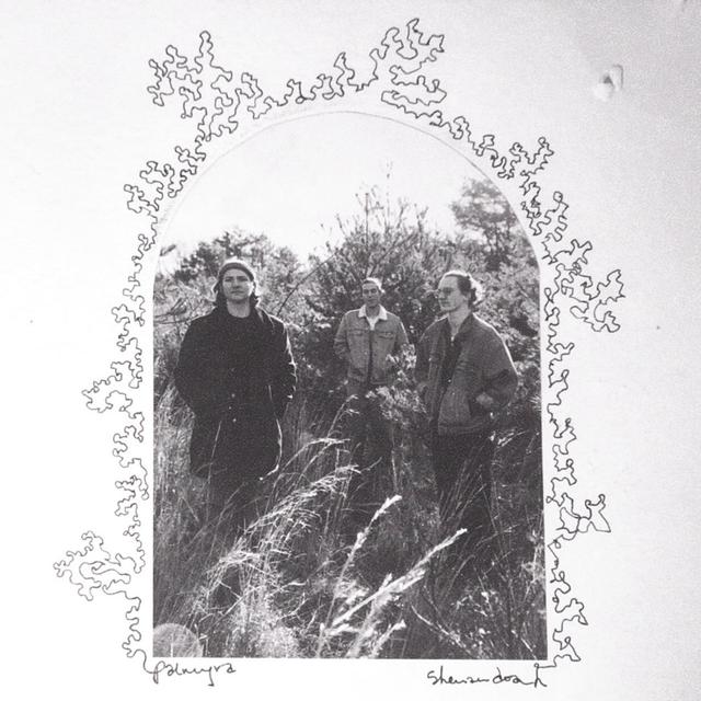 Album cover art for Shenandoah