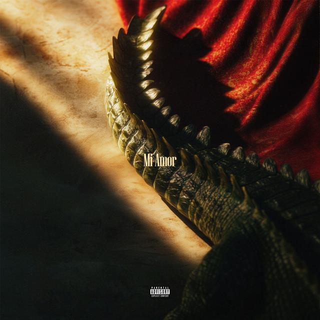 Album cover art for MI AMOR