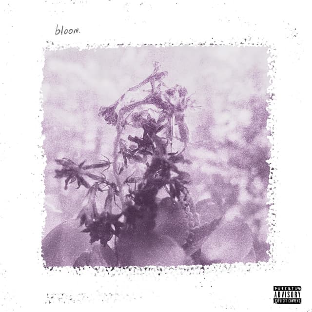 Album cover art for bloom.