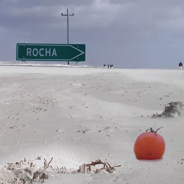 Album cover art for Rocha