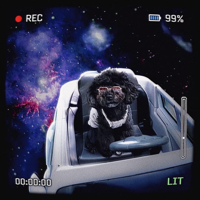 Album cover art for Pook!3