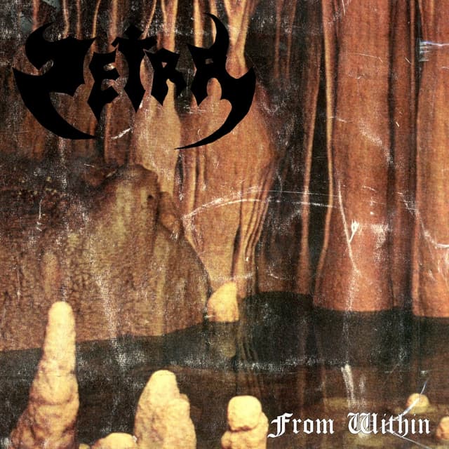 Album cover art for From Within