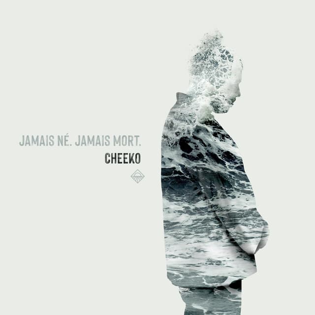 Album cover art for Jamais Né, Jamais Mort