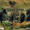 SOM DOM