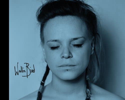Album cover art for Wallis Bird