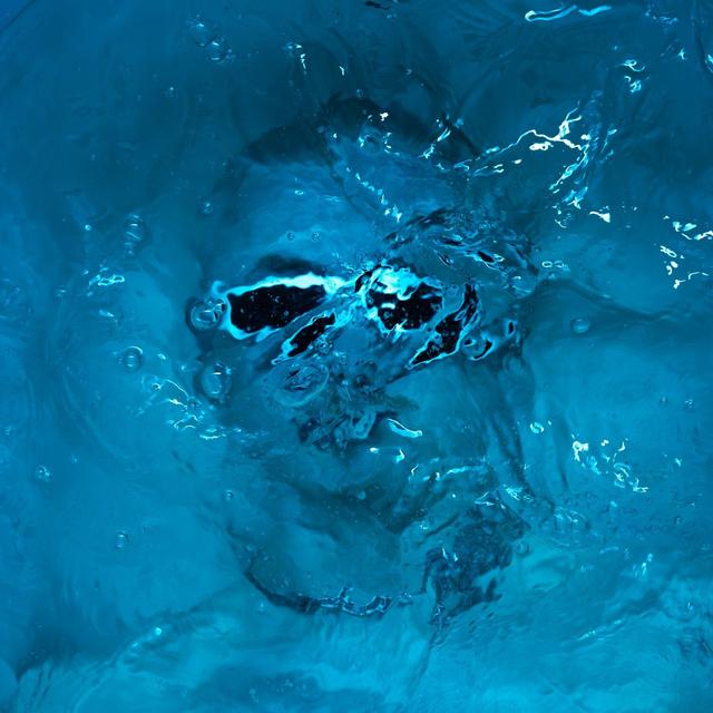 Album cover art for Die Tonight