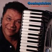 Album cover art for O Trinado do Trovão