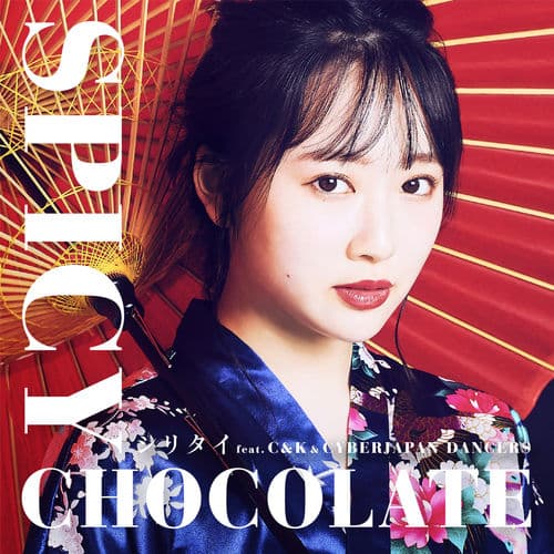 Album cover art for Shiritai