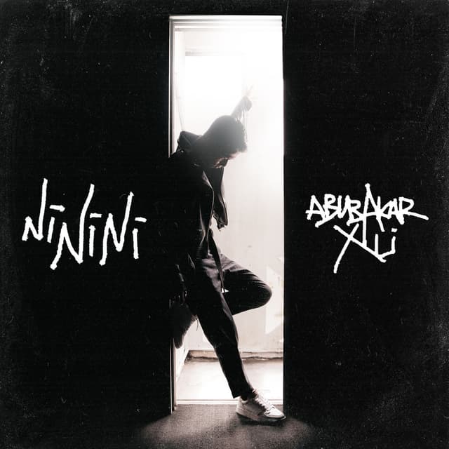 Album cover art for NiNiNi
