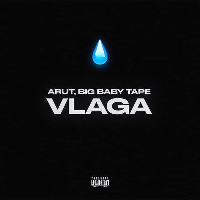 Album cover art for VLAGA