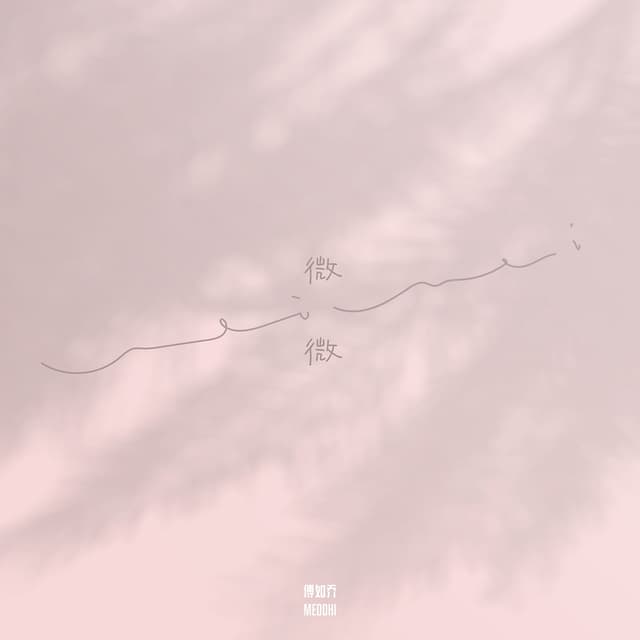 Album cover art for 微微