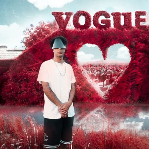 Album cover art for Vogue