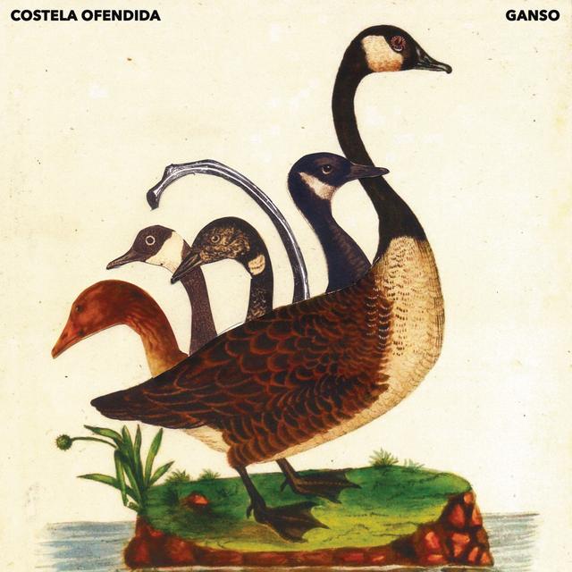 Album cover art for Costela Ofendida