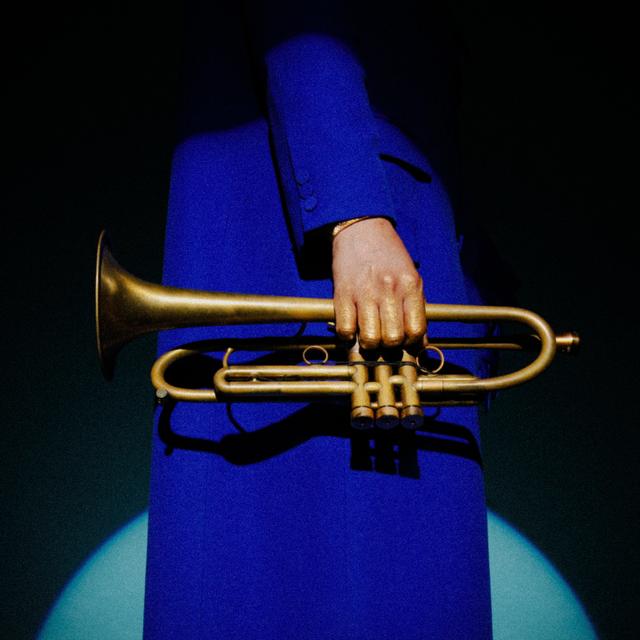 Album cover art for Dream Manifest