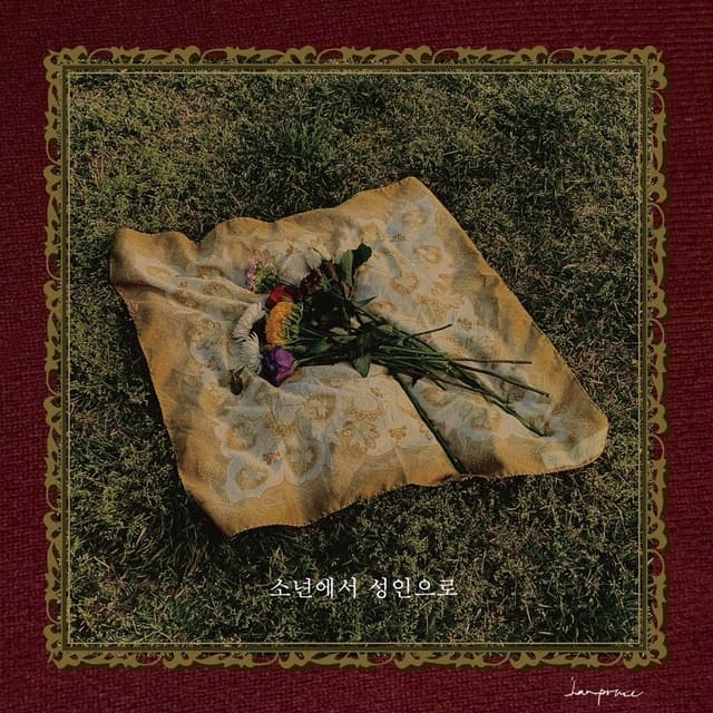 Album cover art for 소년에서 성인으로