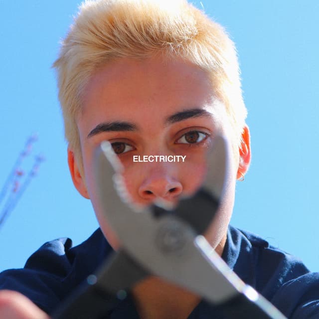 Album cover art for ELECTRICITY