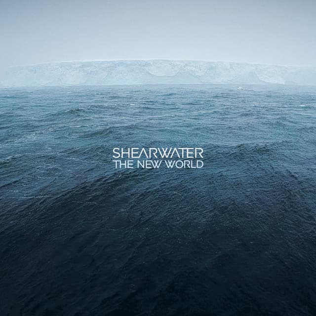 Album cover art for The New World