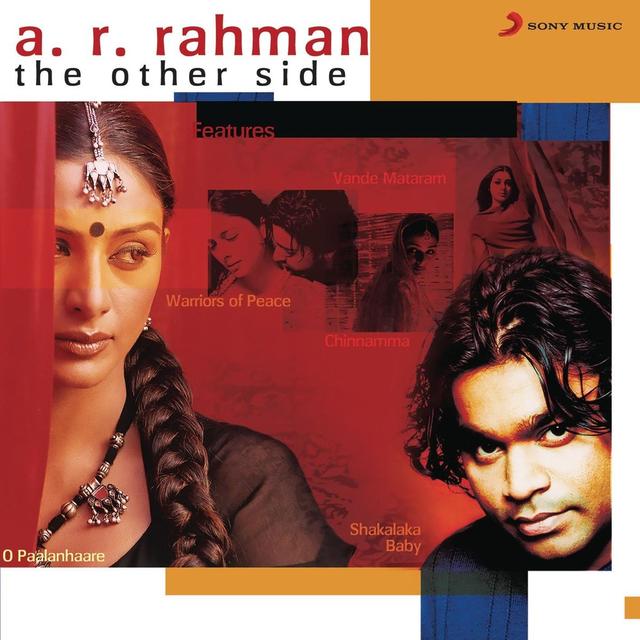 Album cover art for A. R. Rahman - The Other Side