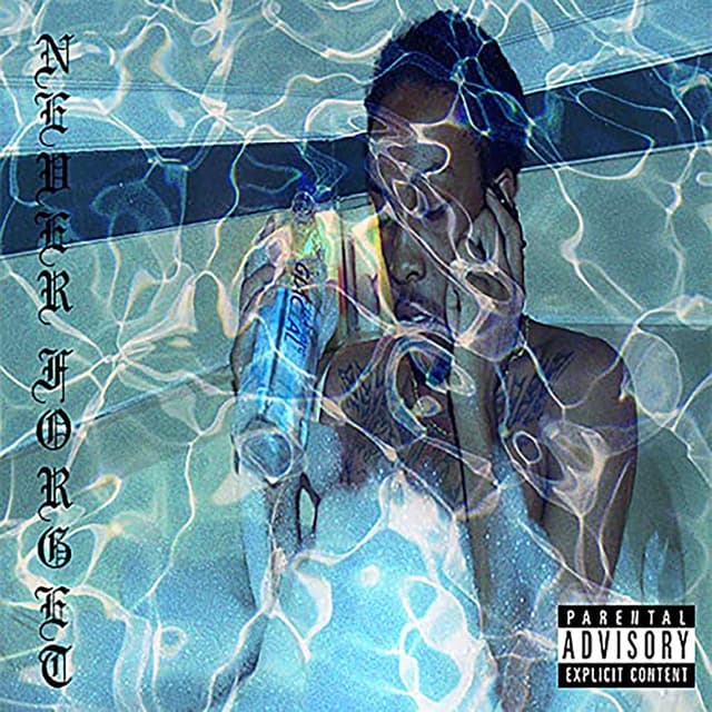 Album cover art for Never Forget