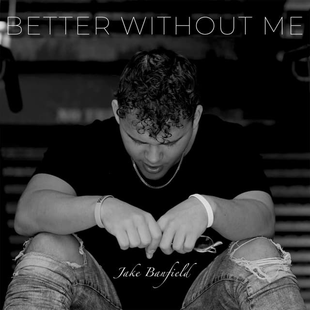 Album cover art for Better Without Me