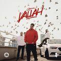Album cover art for Vallah