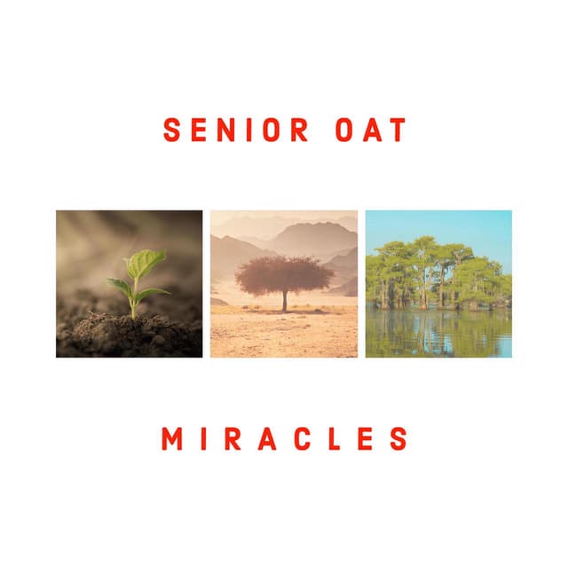 Album cover art for Miracles