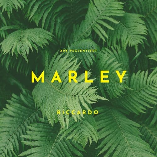 Album cover art for Marley