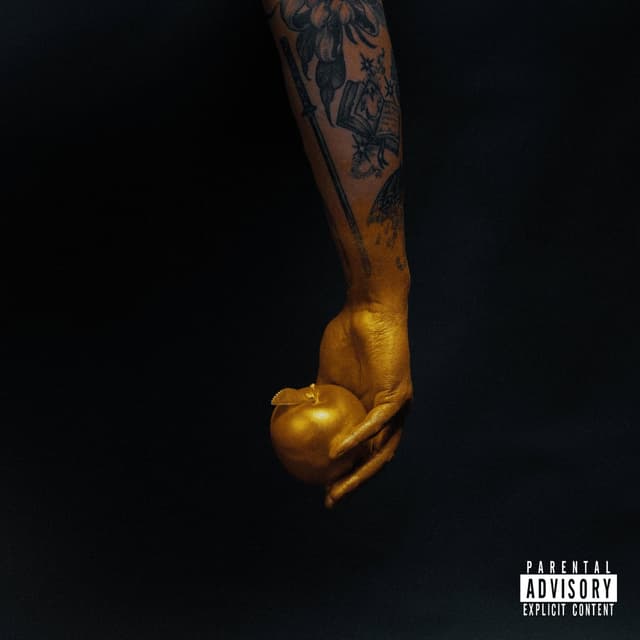 Album cover art for Vestige