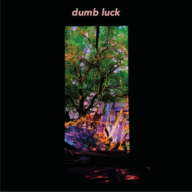 Album cover art for Dumb Luck