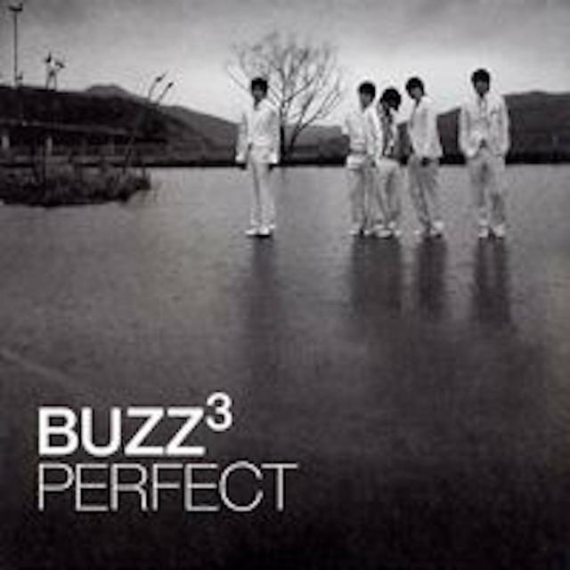 Album cover art for Perfect