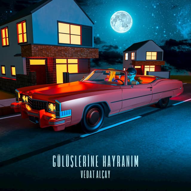 Album cover art for Gülüşlerine Hayranım