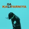 OLAI