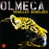 Guerrillero