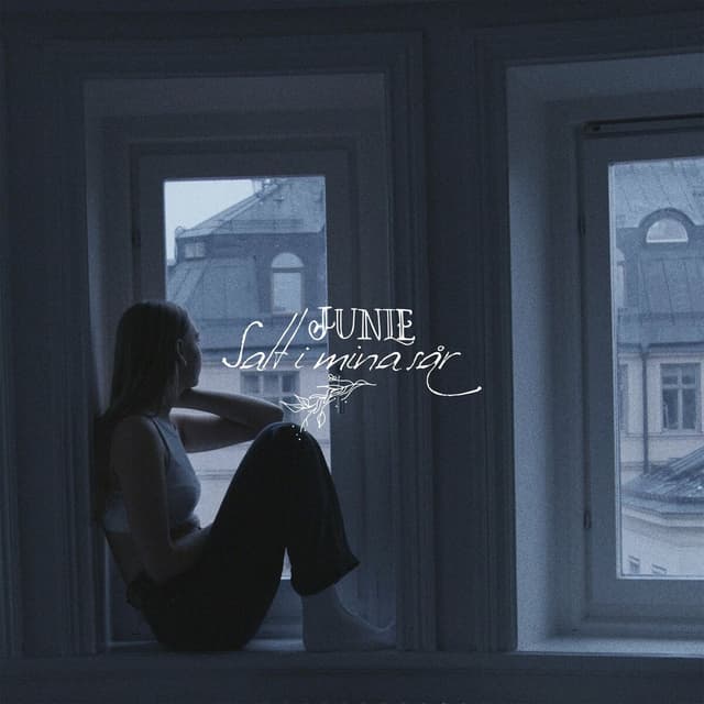 Album cover art for Salt I Mina Sår