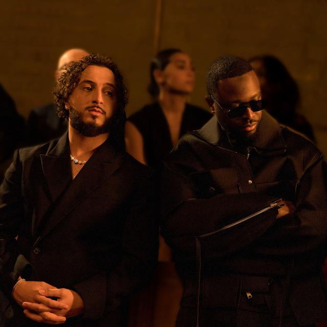 Album cover art for J'ai ce qu'il faut