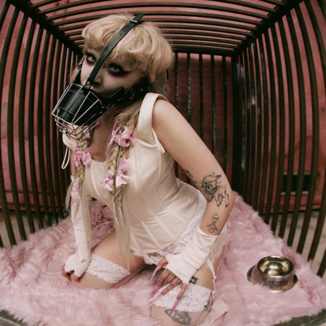 Album cover art for Puppy Pound