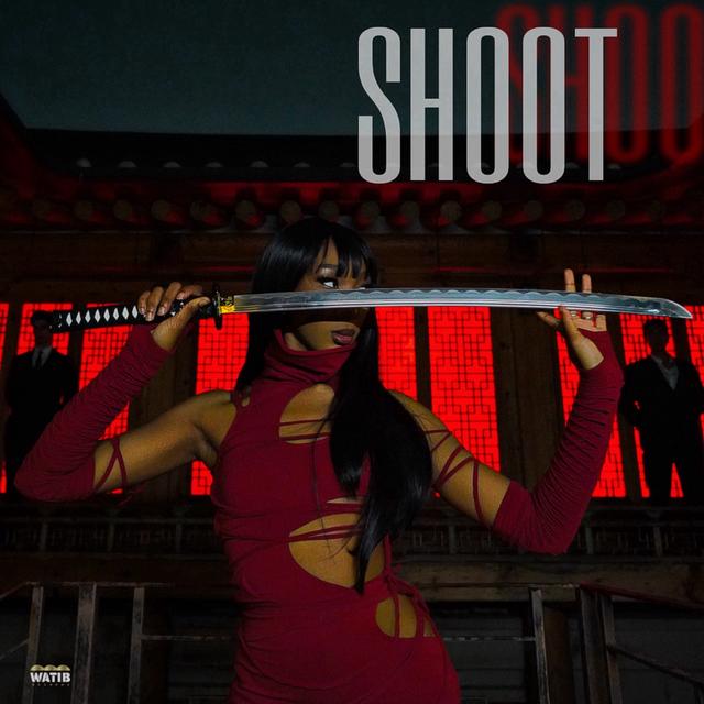 Album cover art for SHOOT