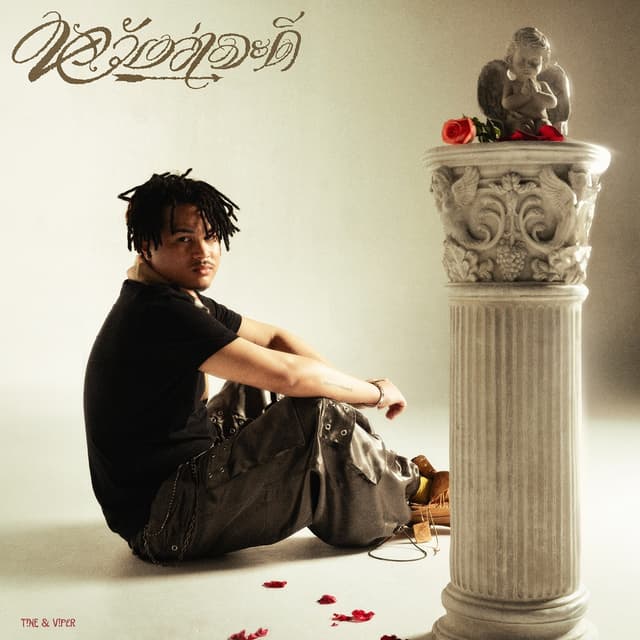 Album cover art for หวังว่าจะดี