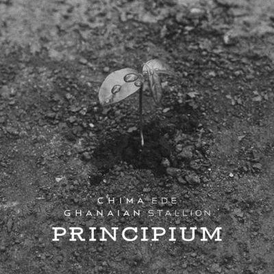 Album cover art for Principium