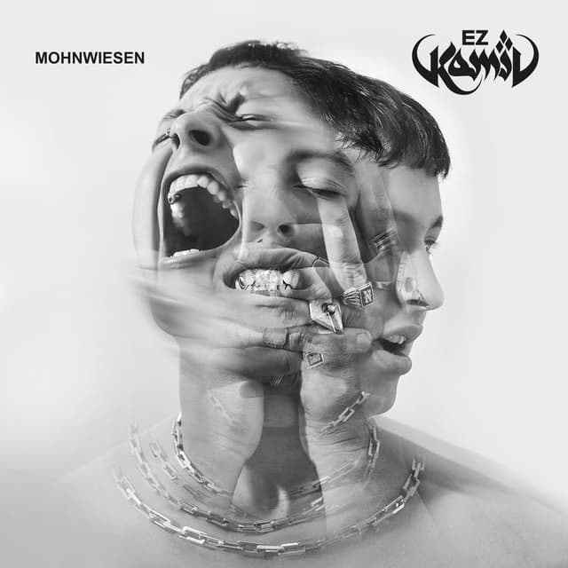 Album cover art for Mohnwiesen