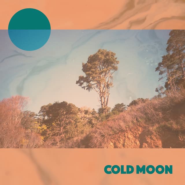 Album cover art for Rising