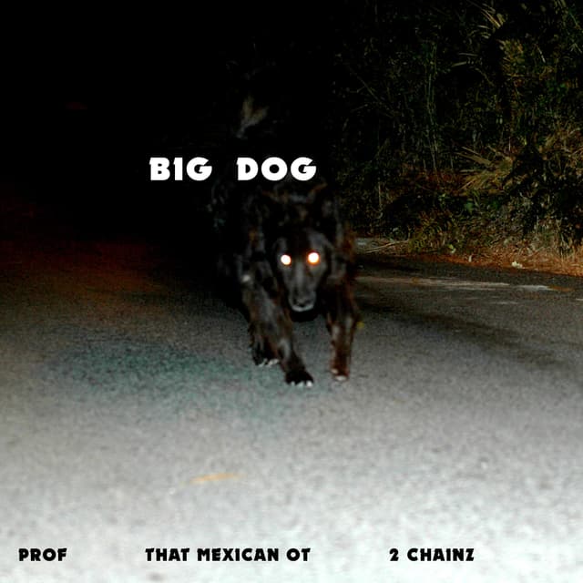 Album cover art for Big Dog