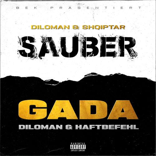 Album cover art for Gada / Sauber