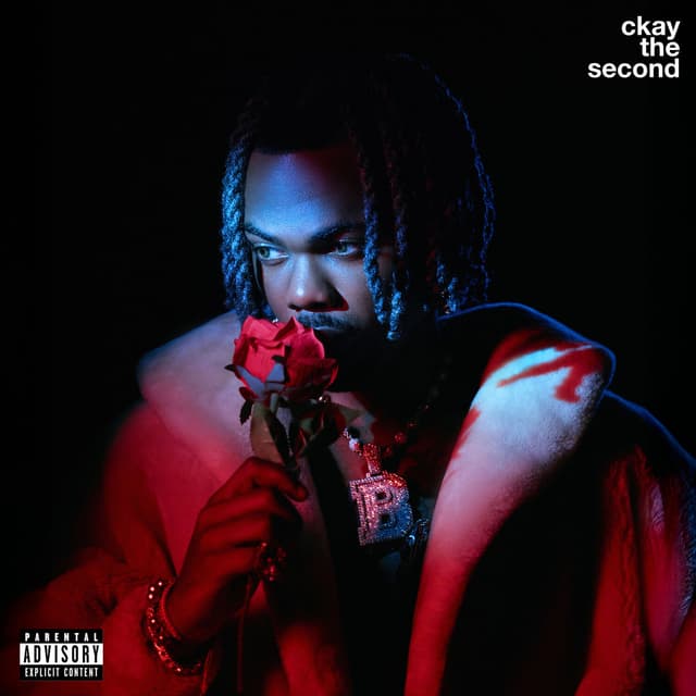 Album cover art for CKay The Second