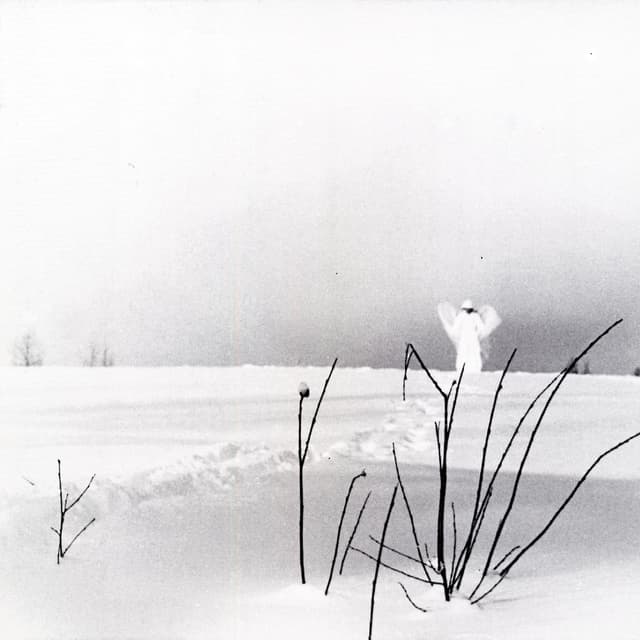 Album cover art for Itku Pitkästä Ilosta